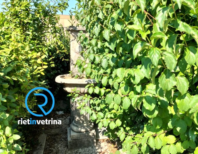 SEI TU IL REPORTER di Rietinvetrina – “Potreste pulire dalle erbacce il Giardino della Prefettura detto Vignola?”