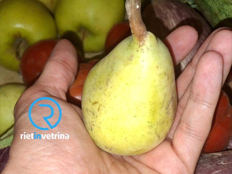 Confagricoltura: “Frutta italiana a dura prova per il clima”