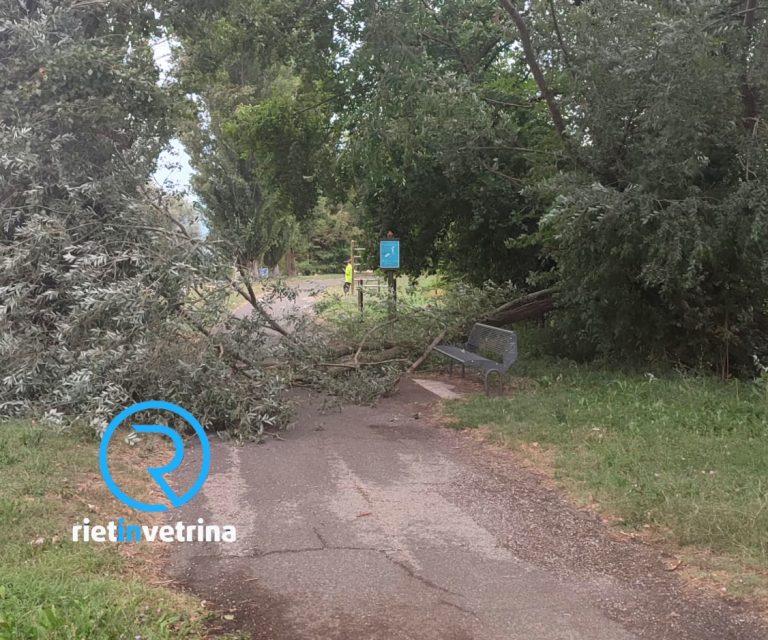Caduti rami nell’area pedonale di via don Giovanni Olivieri