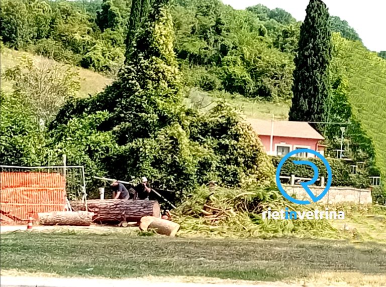In via di ultimazione i lavori di potatura degli alberi sulla Terminillese