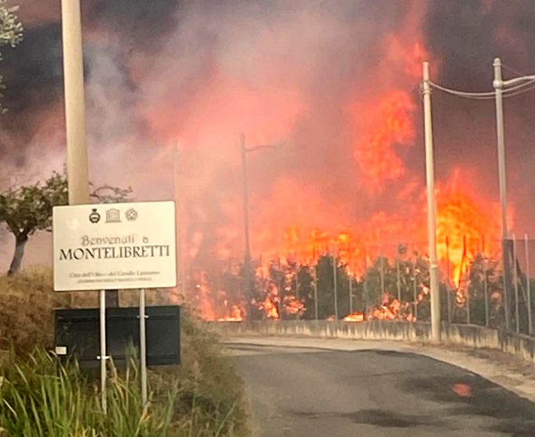 Disastro a Montelibretti. In fiamme l’azienda Terre Sabine