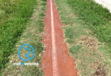 SEI TU IL REPORTER di Rietinvetrina – Paolo: “Pista Ciclabile di via Mattei mangiata dall’erba”