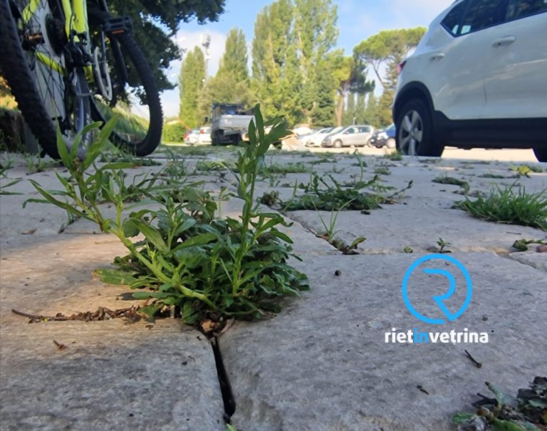 SEI TU IL REPORTER di Rietinvetrina – Christian: “Già pieni di erba i nuovi marciapiedi di piazzale Leoni”