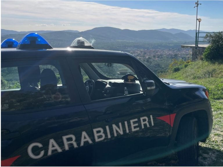 Due persone denunciate dai Carabinieri per truffa in concorso