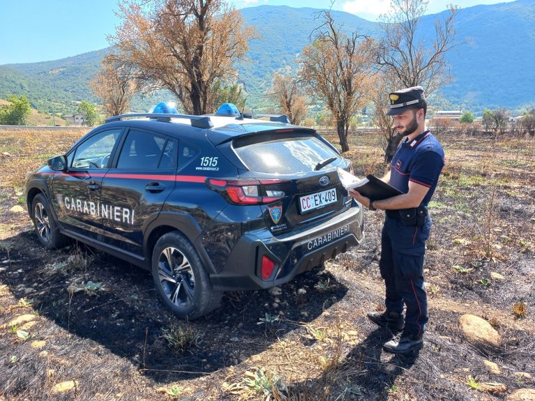 Sei persone denunciate per incendio colposo che ha distrutto 80.000mq di bosco
