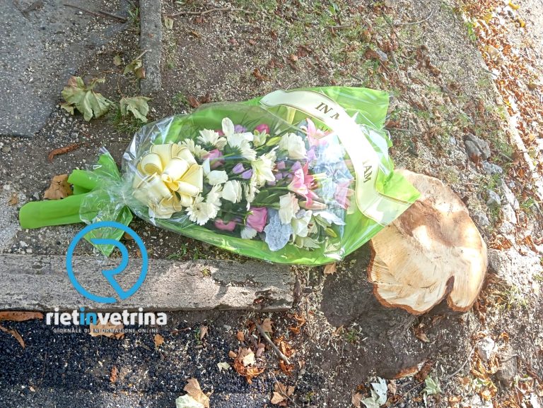 SEI TU IL REPORTER – “Ippocastano tagliato in viale Maraini: cittadini depongono mazzo di fiori in ricordo dell’albero tolto”