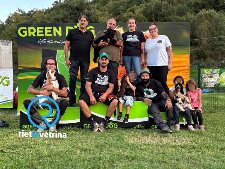 Oltre 90 partecipanti al 1° Trofeo del Reatino – Gara per cani da tartufo su ring. Assessore Nobili: “Movimento che fa bene al territorio”