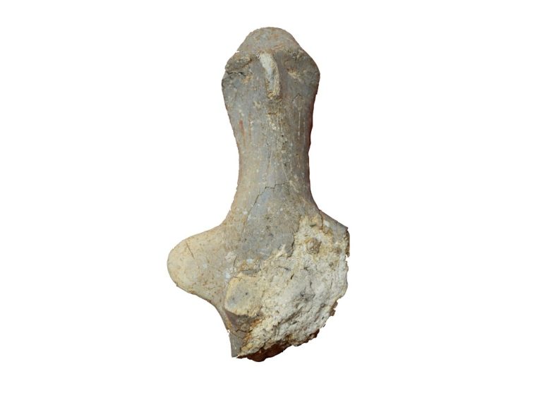 Le importanti scoperte compiute nella Grotta Battifratta di Poggio Nativo (Rieti)