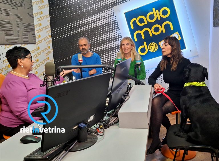 ►VIDEO – RETE SOLIDALE – Ospiti il dott. Nazzareno Pizzoli, Lucia Metta, Simona Mari e la cagnolina Aida