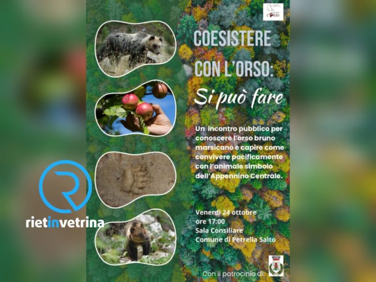 A Petrella Salto l’incontro “Coesistere con l’orso, si può fare”