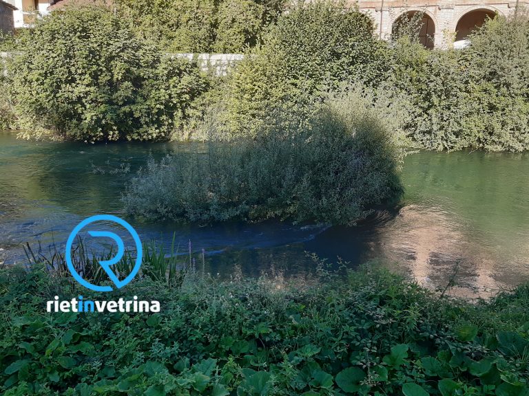 SEI TU IL REPORTER – Valentino: “Questo tronco caduto nel Velino non dovrebbe essere rimosso?” SEI TU IL REPORTER – Valentino: “Questo tronco caduto nel Velino non dovrebbe essere rimosso?”
