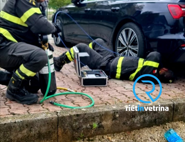 Pompieri salvano un gattino rimasto incastrato in una auto