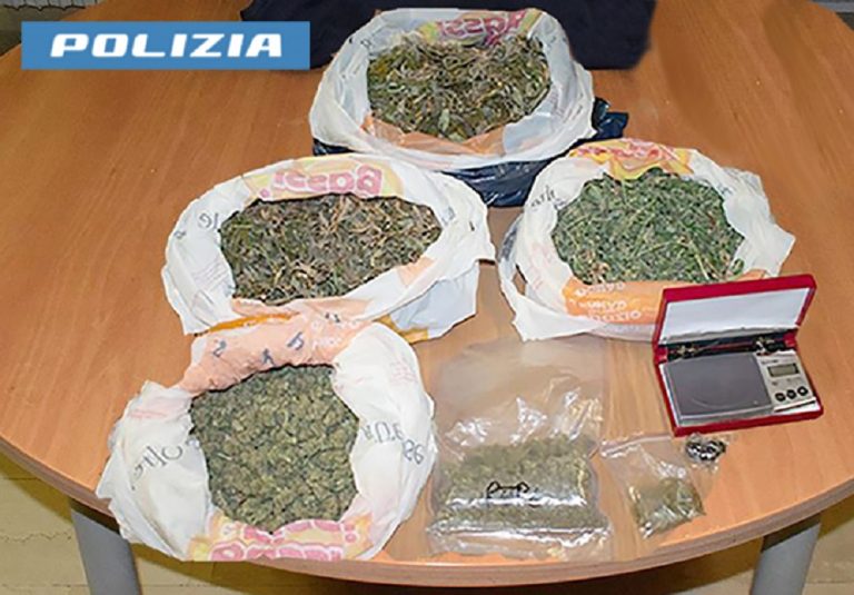 Polizia arresta 50enne per coltivazione in casa di marijuana e spaccio di droga