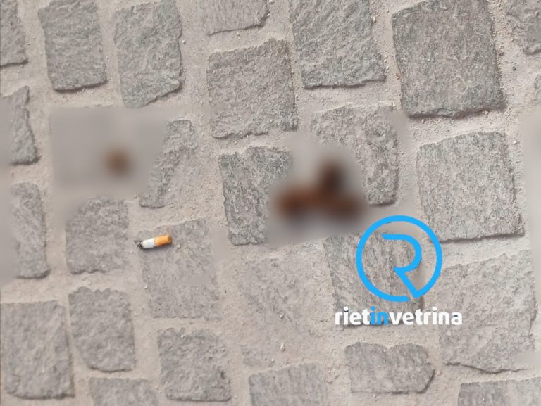SEI TU IL REPORTER di Rietinvetrina – Luigi: “Deiezioni canine non raccolte anche in via Garibaldi. Senso civico zero”