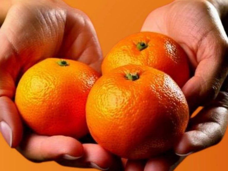 Clementine antiviolenza: sabato 29 novembre in piazza Vittorio Emanuele II a Rieti