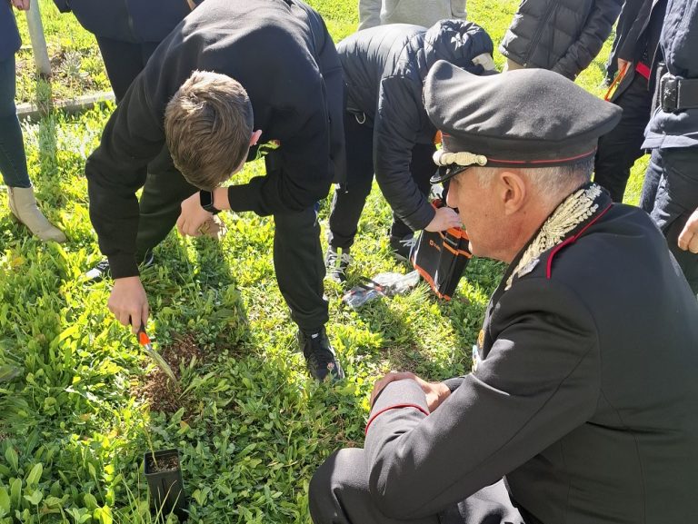 I Carabinieri Forestale celebrano la Giornata Nazionale degli Alberi