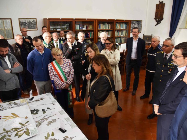 Natura e collezionismo alla Scuola Forestale Carabinieri di Cittaducale