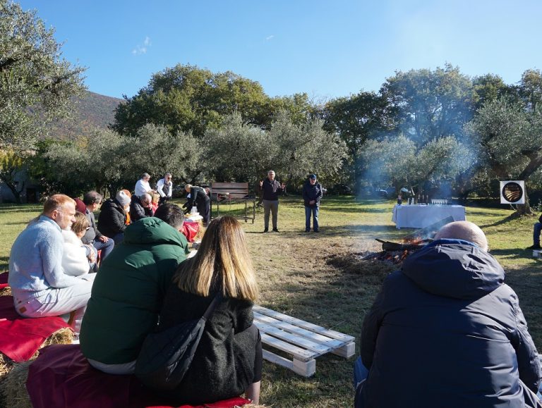 Oleoturismo a Palombara Sabina: una domenica tra ulivi, sapori e olio Sabina DOP