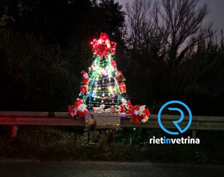 Un albero di Natale per ricordare mio padre. Anche quest’anno è lì, bordo strada: da 13 anni lo preparo per lui