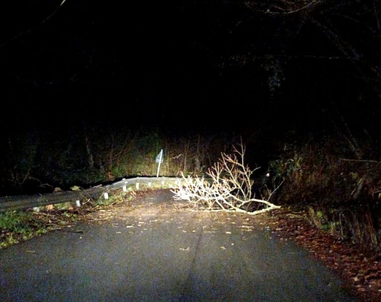 SEI TU IL REPORTER – Rami in strada dopo Teglieto, direzione Borgo San Pietro
