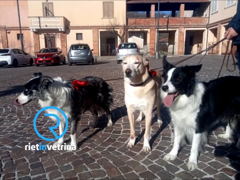 Anche al Monastero di Santa Filippa Mareri la Benedizione degli animali per sant’Antonio Abate – LE FOTO