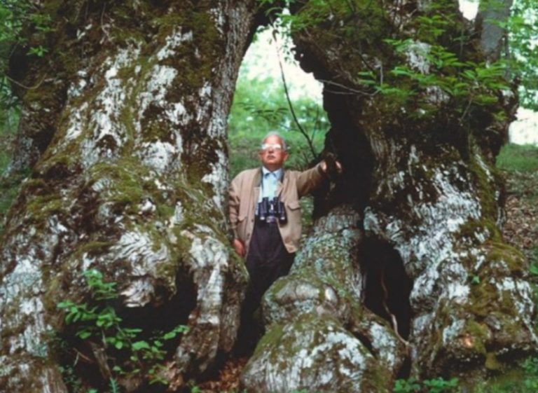 Recuperata e pubblicata l’opera postuma dell’ornitologo reatino Di Carlo