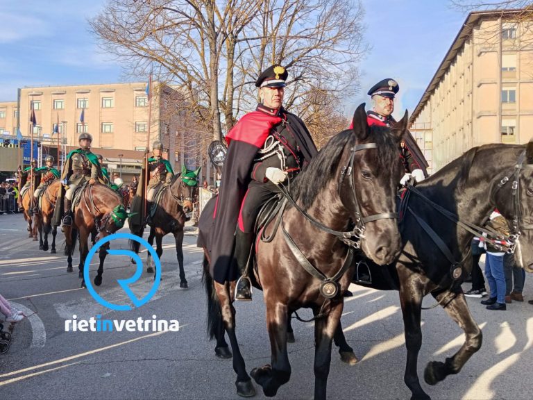 LE FOTO dei Cavalli Infiocchettati 2026