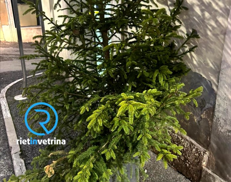 SEI TU IL REPORTER – Umberto: “Chi deve portare via i tre alberi di Natale in via Potenziani? Le feste sono terminate da oltre un mese”