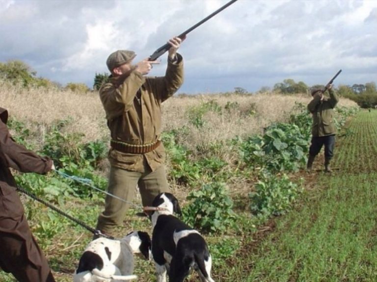 Sentenza storica, European Consumers: “Il diritto di dire NO alla caccia sui propri terreni”