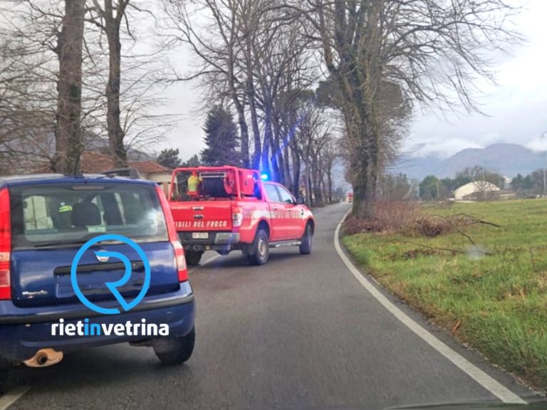 Rami pericolanti sulla SP45 Tancia altezza Poggio Fidoni: traffico deviato