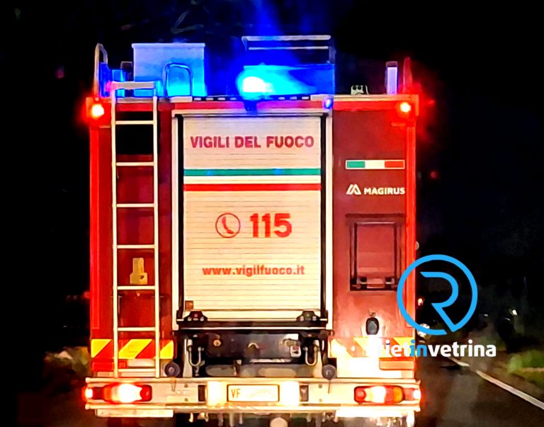 Caduto albero sulla SP48