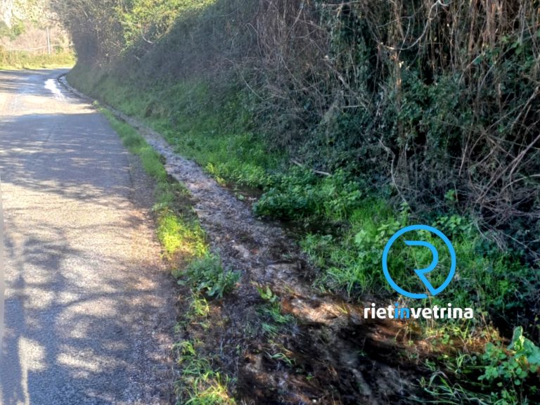 SEI TU IL REPORTER di Rietinvetrina – Dino: “La caditoia della via Farense ricoperta di rovi e terra”