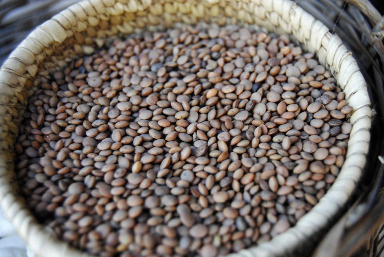 Giornata Mondiale dei Legumi, torna la campagna di Slow Food Italia