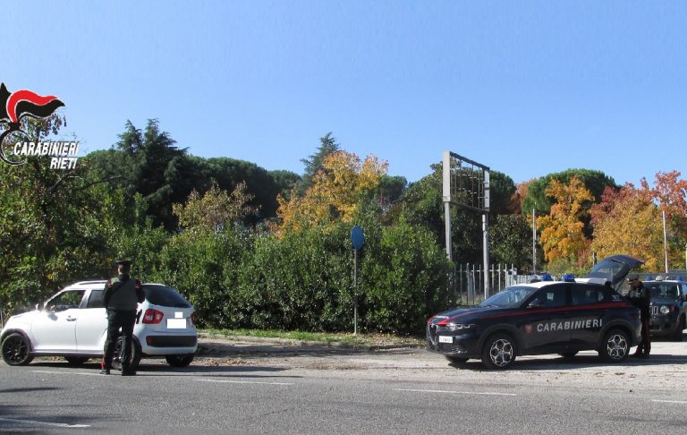 Denunciato per furto di batteria d’auto. Trovato con: piede di porco, tronchesi, lime e cacciaviti di grandi dimensioni