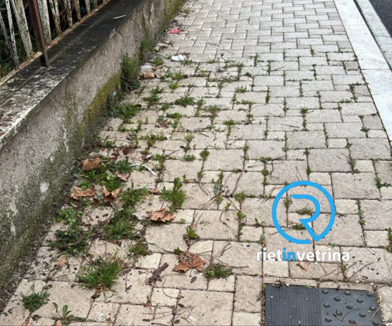 SEI TU IL REPORTER – Maurizio: “In via delle Magnolie nei nuovi marciapiedi sta nascendo un bel prato all’inglese. E’ possibile intervenire?”