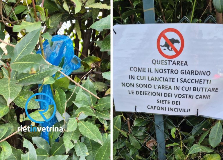 SEI TU IL REPORTER – “In via Cipriani i padroni dei cani gettano le deiezioni canine nelle siepi private. Installeremo telecamere”