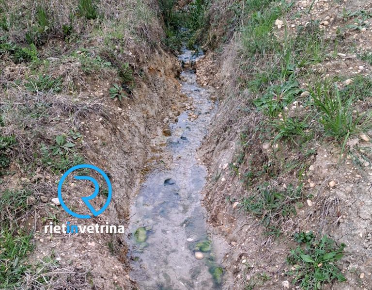 SEI TU IL REPORTER – I cittadini: “A Castelnuovo di Farfa c’è una enorme perdita di acqua”