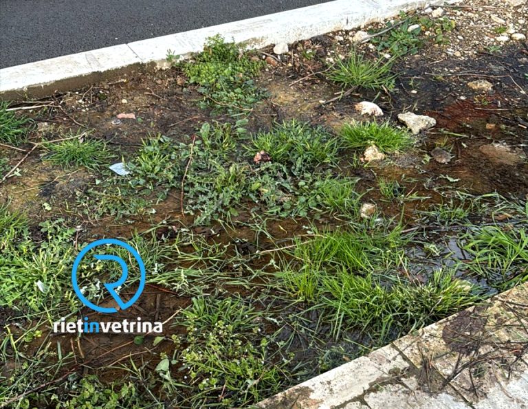 SEI TU IL REPORTER – “Perdita di acqua nei giardini di piazza Marconi lato viale dei Flavi”
