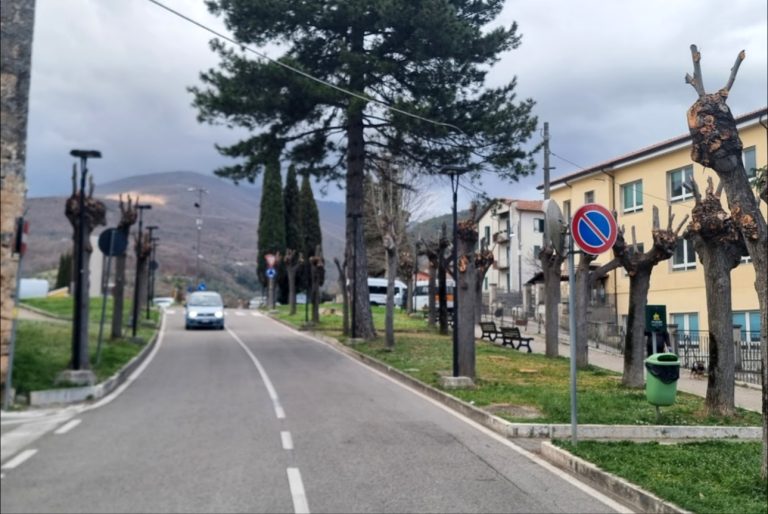 Tiberti (European Consumers): “Parte da Rieti la diffida nazionale contro il massacro degli alberi. Nuove linee guida CONAF contro le capitozzature selvagge”