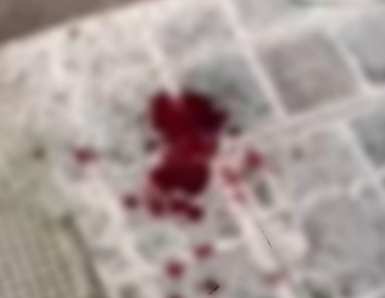 Sinistra Italiana AVS Rieti: “Sulle viølenze nel centro storico Sindaco e Giunta hanno alzato bandiera bianca ormai da anni”