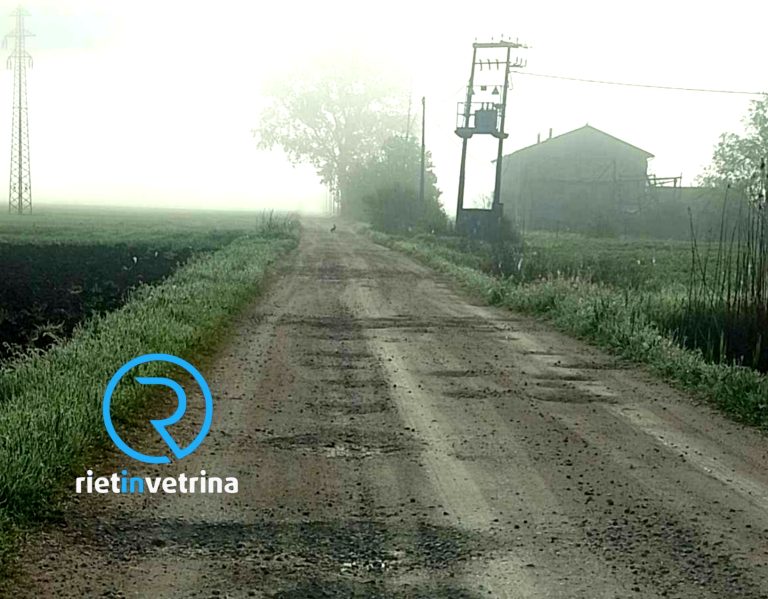 SEI TU IL REPORTER di Rietinvetrina – Egidio: “Via Settecamini è un campo di battaglią. Non potrebbe arrivarci nemmeno una autoambulanza”