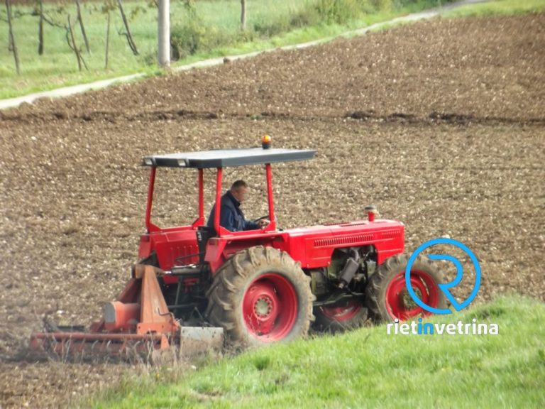 Caldo, Coldiretti Lazio: “Chiediamo alla Regione supplemento gasolio agricolo per le aziende”