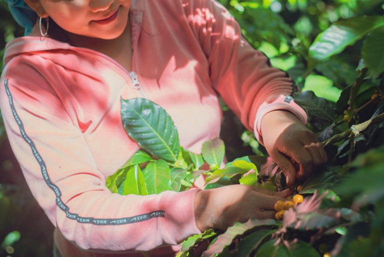 L’Agricoltura è Donna. Leadership femminile per coltivare il futuro
