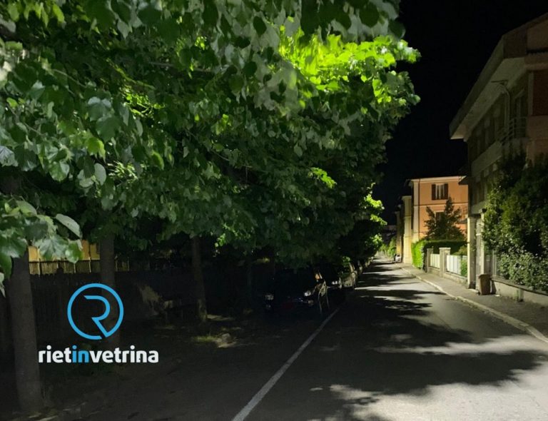 SEI TU IL REPORTER – Riccardo: “Gli alberi di via Loreto Mattei hanno nuovamente inglobato i lampioni, la strada è buia. A quando la potatura?”