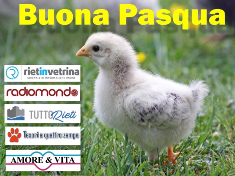 Auguri di Buona Pasqua
