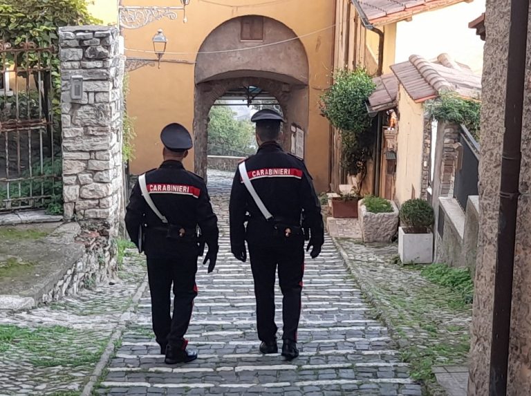 Carabinieri denunciano l’autore di furti di pedane ai danni di due centri commerciali