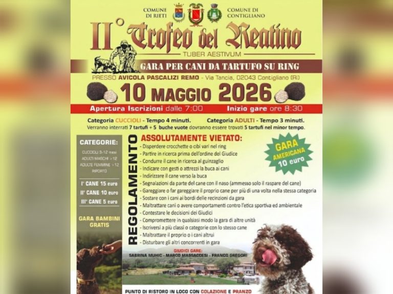 Il 10 maggio a Contigliano il 2° Trofeo del Reatino: gara per cani da tartufo su ring