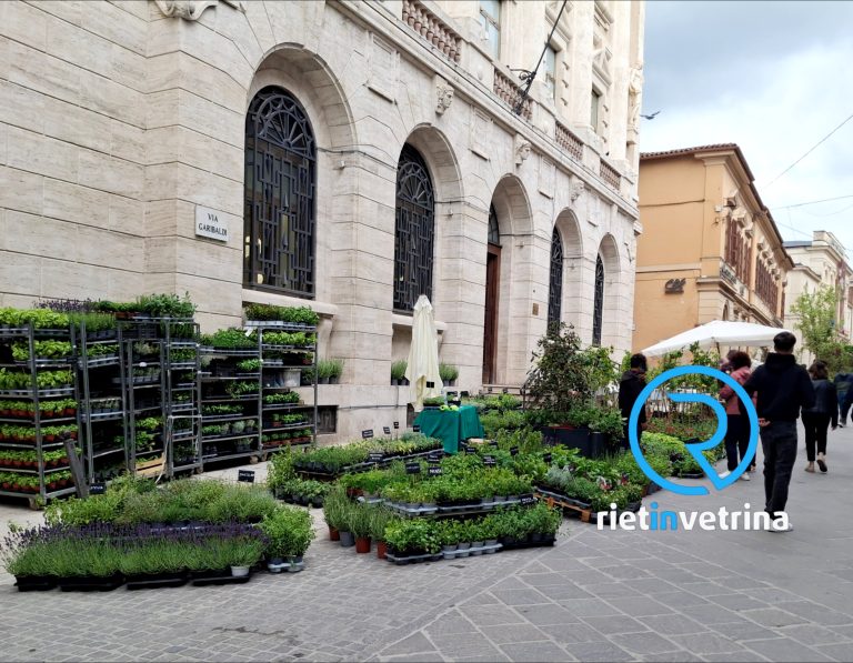 “Rieti in fiore2026”, dall’ 8 al 10 maggio chiuse al traffico via Garibaldi, via Cintia, via Mareri, largo Vittori e le piazze Vittorio Emanuele II e Battisti