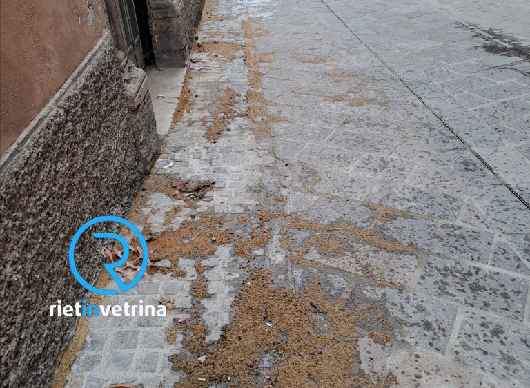 SEI TU IL REPORTER – Emanuele Maria: “Perché ASM non pulisce via Garibaldi altezza via Crispolti?”