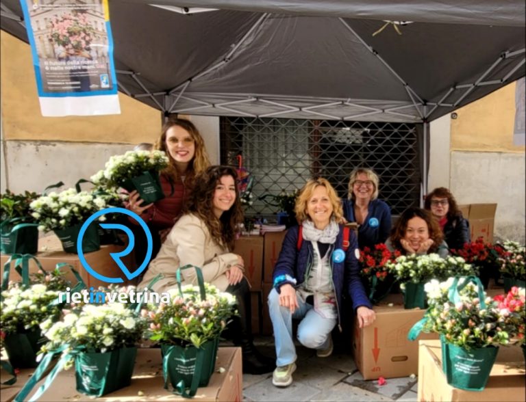 AIRC Rieti vende 400 Azalee per la ricerca: buona la raccolta fondi di maggio